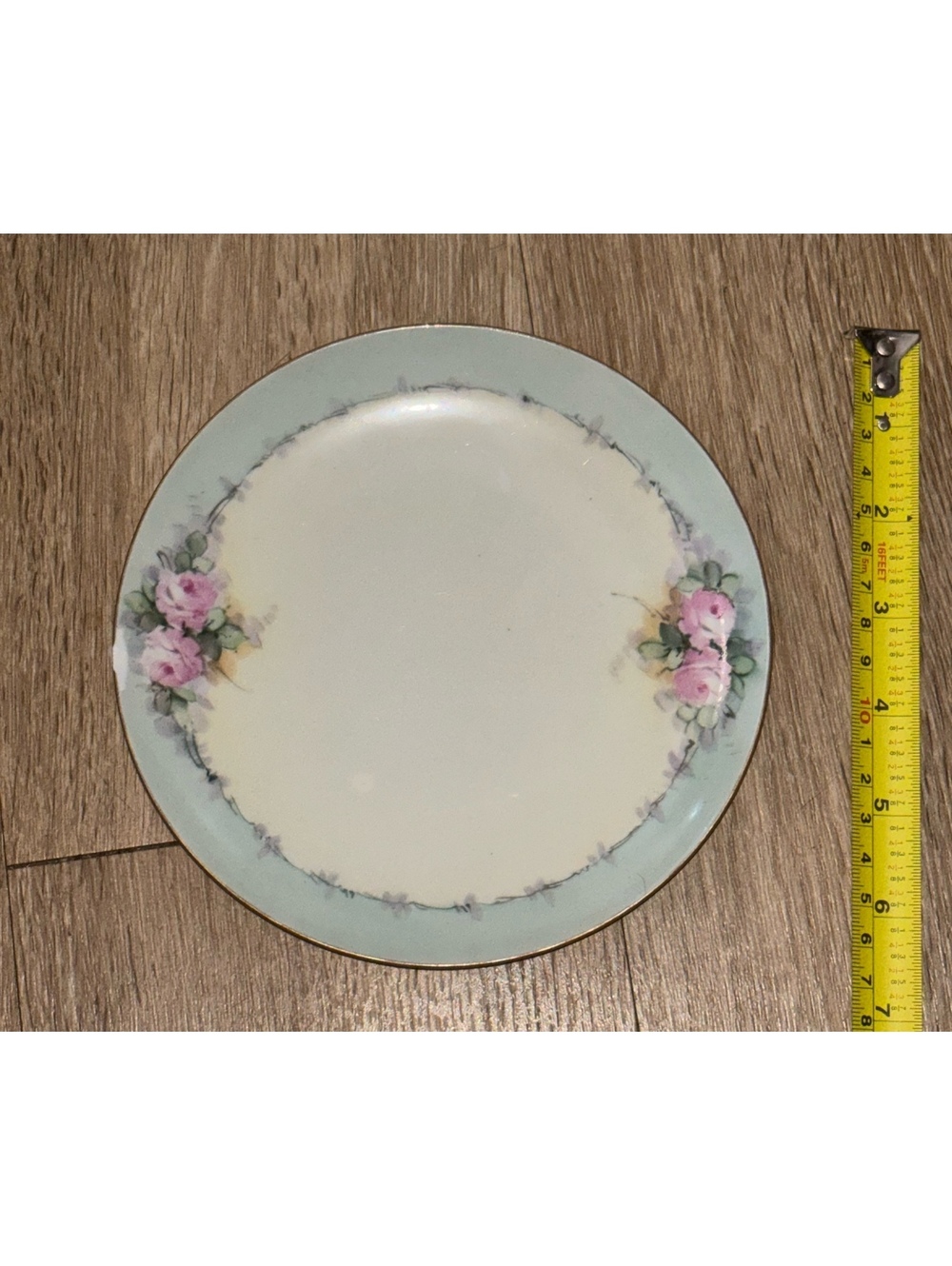 Antique Thomas Sèvres Bavaria Hand Painted 7.5" Rose Plate